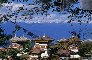 V Iew Collection: Dochu La (3, 050m / 10, 000ft)