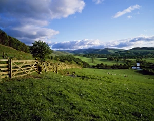 Scot Land Prints: Dollar Law and Manor Valley