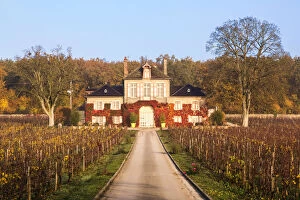 Images Dated 7th December 2015: Domaine d Ardhuy winery, Aloxe Corton, Burgundy, France