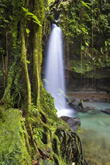 Water Fall Gallery: Dominica, Castle Bruce. Emerald Pool, one of the most popular tourist attractions
