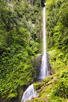 Dominica, Laudat. Middleham Falls is the tallest waterfall in Dominica