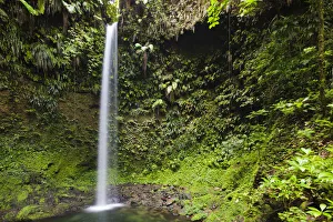 Water Fall Gallery: Dominica, Penrice. The first of the twin Spanny Falls, known simply as Spanny Falls