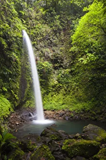 Water Fall Gallery: Dominica, Penrice. The second of the twin Spanny Falls, known as Spanny Falls Number Two
