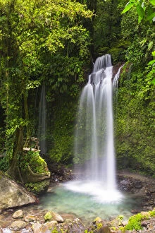 Images Dated 12th June 2015: Dominica, Pont Casse. Soluton Falls is a recently opened, privately owned waterfall