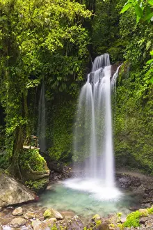 Water Fall Prints: Dominica, Pont Casse. Soluton Falls is a recently opened, privately owned waterfall