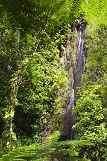 Dominica, Roseau. Waterfall at Papillote Wilderness Retreat