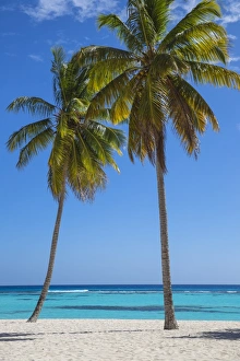 Dominican Republic, Punta Cana, Parque Nacional del Este, Saona Island, Canto de la Playa