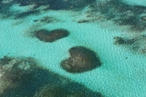 Altagracia Prints: Dominican Republic, Punta Cana, Bavaro, View of two heart shaped reefs