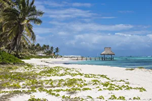 Dominican Republic, Punta Cana, Playa Blanca, Wooden pier with thatched hut
