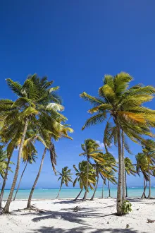 Dominican Republic, Punta Cana, Cap Cana beach