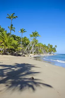 Images Dated 31st July 2012: Dominican Republic, Samana Peninsula, Las Terrenas, Playa Bonita