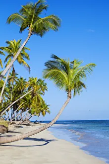 Dominican Republic, Samana Peninsula, Las Terrenas, Playa Bonita