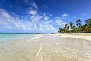 Images Dated 31st July 2012: Dominican Republic, Samana Peninsula, Beach at Las Terrenas