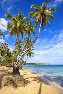 Dominican Republic, Samana Peninsula, Beach at Las Terrenas