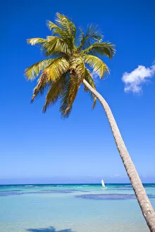 Images Dated 31st July 2012: Dominican Republic, Samana Peninsula, Las Terrenas, El Portillo Beach