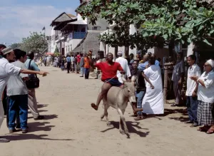 Kenya Coast Prints: A donkey race is held on Lamu Island as part of