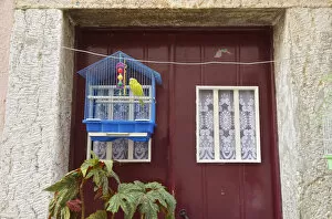 Images Dated 12th September 2014: Door with bird in the Castelo district. Lisbon, Portugal