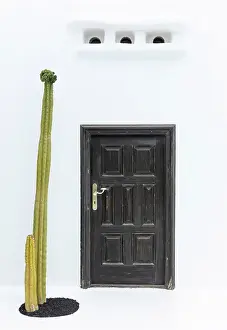 Black Prints: Door and cactus against whitewashed wall