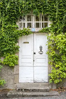 Overgrown Prints: Front door of French house covered in vines (Parthenocissus tricuspidata), Argentat