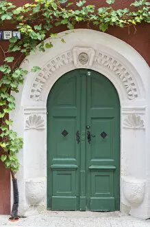 Door with vines, Meissen, Saxony, Germany