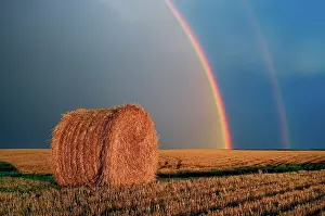 Bale Prints: Double rainbow and bale after prairie storm Near Cypress River, Manitoba, Canada