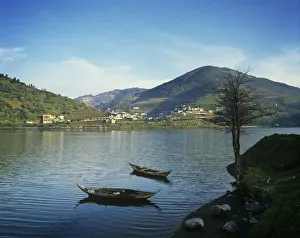 Port Wine Prints: The Douro region and river, the origin of the world famous Port wine
