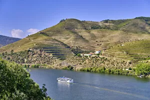 Images Dated 10th November 2020: A Douro river cruise ship passing along the Quinta da Boavista