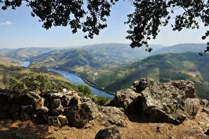 The Douro river seen from the top of a mountain, Sao Leonardo de Galafura
