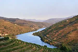 Vastness Prints: The Douro river and the terraced vineyards of the Port wine near Mesao Frio