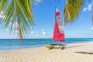 Barbados Prints: Dover Beach, Barbados, Caribbean