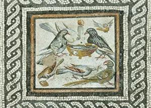 Images Dated 26th November 2013: Doves from the Domus under the Caseggiato of the Taberne Finestrate, 1st century B