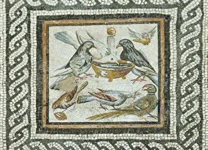 Images Dated 26th November 2013: Doves from the Domus under the Caseggiato of the Taberne Finestrate, 1st century B