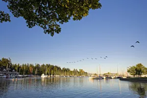 Images Dated 5th March 2008: Downtown Vancouver Skyline and Coal Harbour, Vancouver, British Columbia, Canada