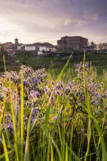 Emilia Prints: Dozza, Bologna, Emilia Romagna, Italy, Europe. The medieval village