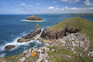 Dramatic Cornish coastline in The Rumps near Padstow, Cornwall, England