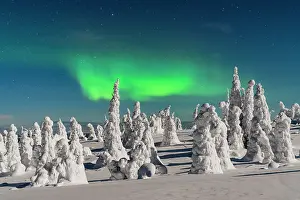 Moonlight Prints: Dramatic night sky with Northern Lights over frozen trees covered with snow