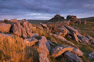 August Prints: Dramatic rugged scenery on West Mill Tor, Dartmoor National Park, Devon, England