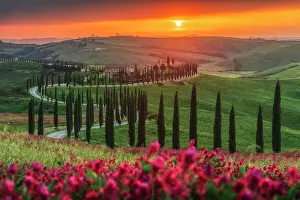 Crop Prints: Dramatic spring sunset over the winding road of the Podere Baccoleno in the Crete Senesi