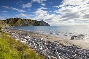 Images Dated 31st March 2014: Dramatic wood-lined beach, Mahia Peninsula, North Island, New Zealand