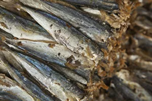 Images Dated 10th October 2012: Dried fish, Old Quarter, Hanoi, Vietnam