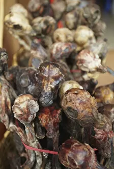 Dried llama foetuses in Witches Market, La Paz, Bolivia