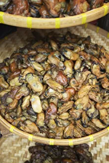 Images Dated 5th July 2010: Dried mussels, Shenzhen, Guangdong Province, China
