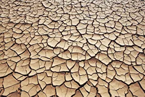 Drought Prints: Dried out water hole in desert - Algeria, Tassili Hoggar, Tagrera - Sahara
