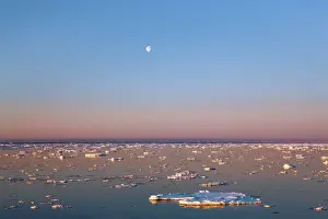 Sea Smoke Prints: Drift ice and moon - Greenland, Northeast Greenland National Park, Gael Hamkes Bay
