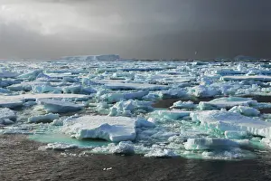 Sea Smoke Prints: Drift ice near South Thule - South Sandwich Islands, South Thule