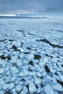 Antarctica Gallery: Drift ice and tabular iceberg in Weddell Sea - Antarctica, Weddell Sea