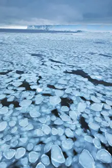 Antarctica Prints: Drift ice and tabular iceberg in Weddell Sea - Antarctica, Weddell Sea