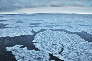 Sea Smoke Prints: Drift ice and tabular icebergs in Weddell Sea - Antarctica