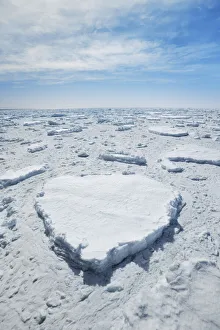 Weddell Sea Prints: Drift ice in Weddell Sea - Antarctica, Weddell Sea, between Peninsula and Antarctica
