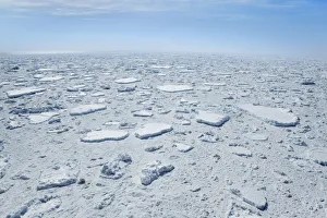 Drift ice in Weddell Sea - Antarctica, Weddell Sea, between Peninsula and Antarctica